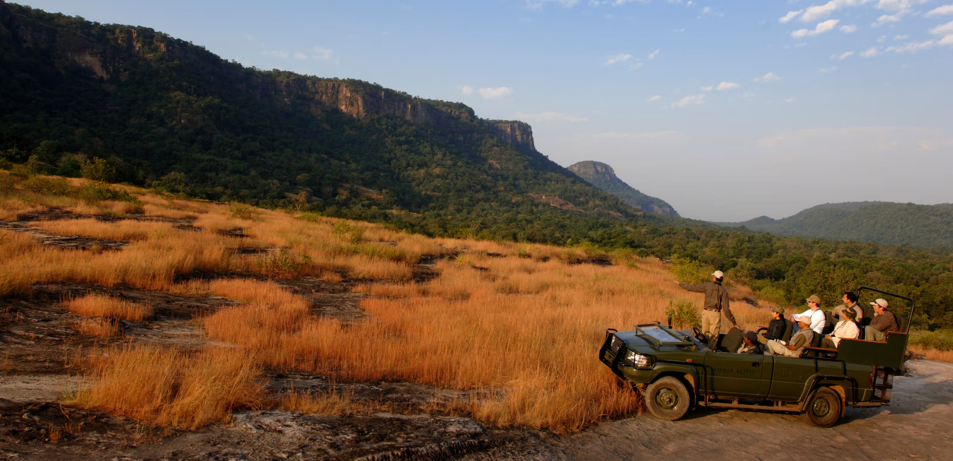 Luxury tiger safari experience in India