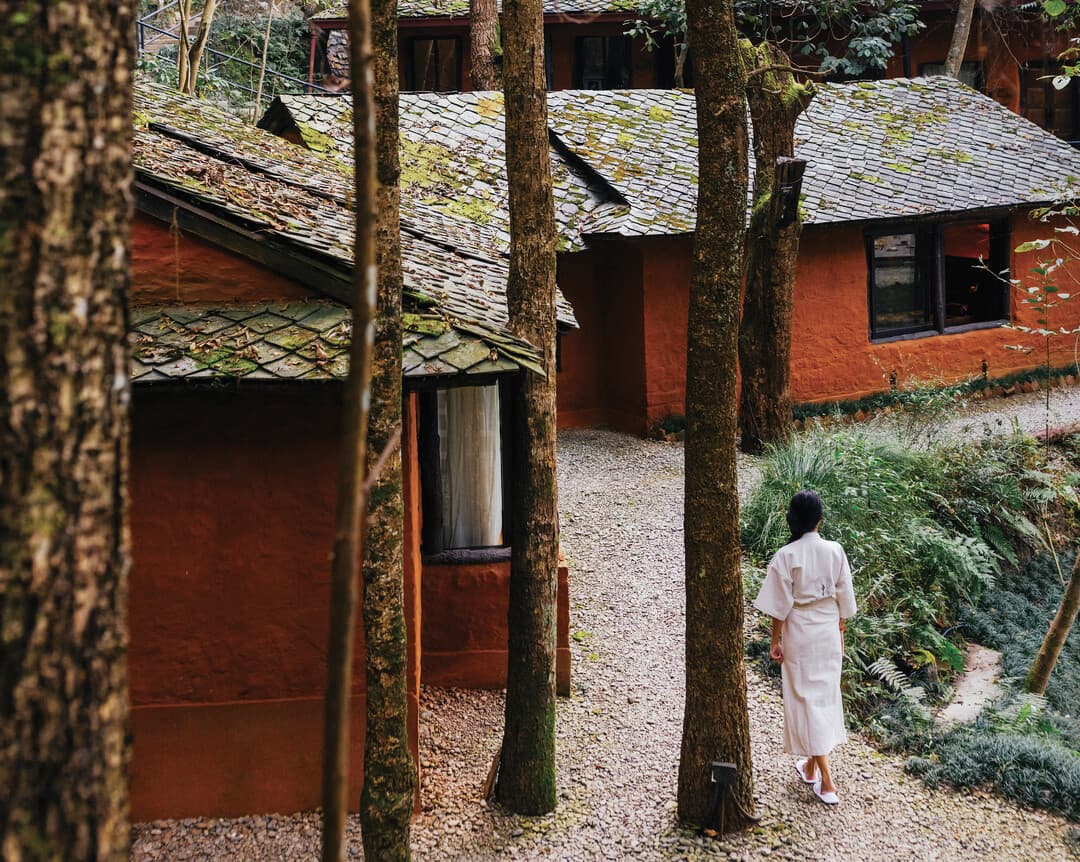 Ayurveda wellness retreat in Kerala, India