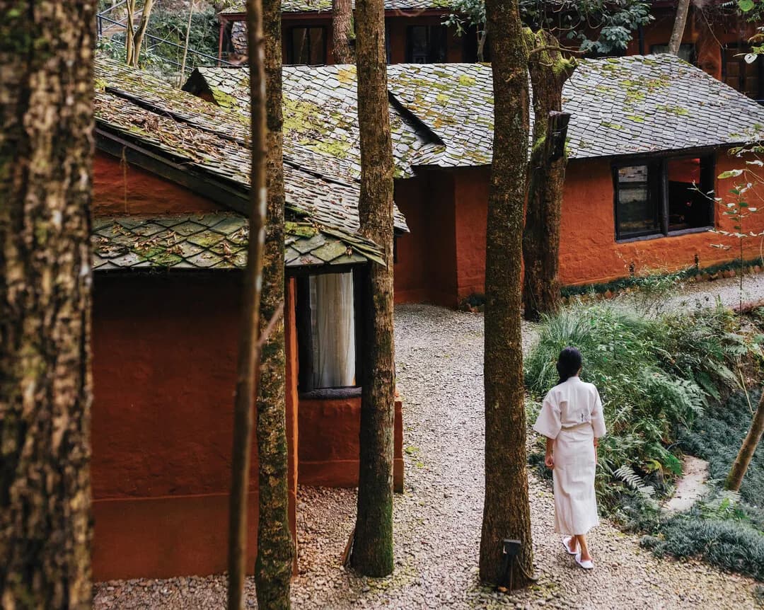 Ayurveda wellness retreat in Kerala, India