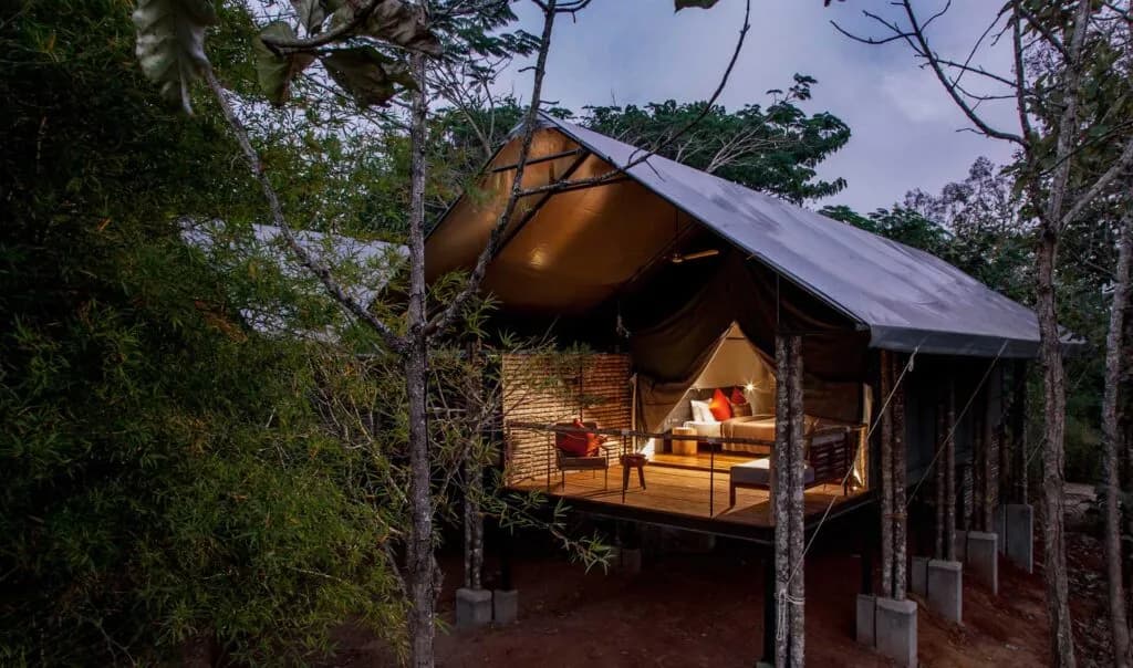 KAAV Safari Lodge, Kabini, Kabini, Karnataka