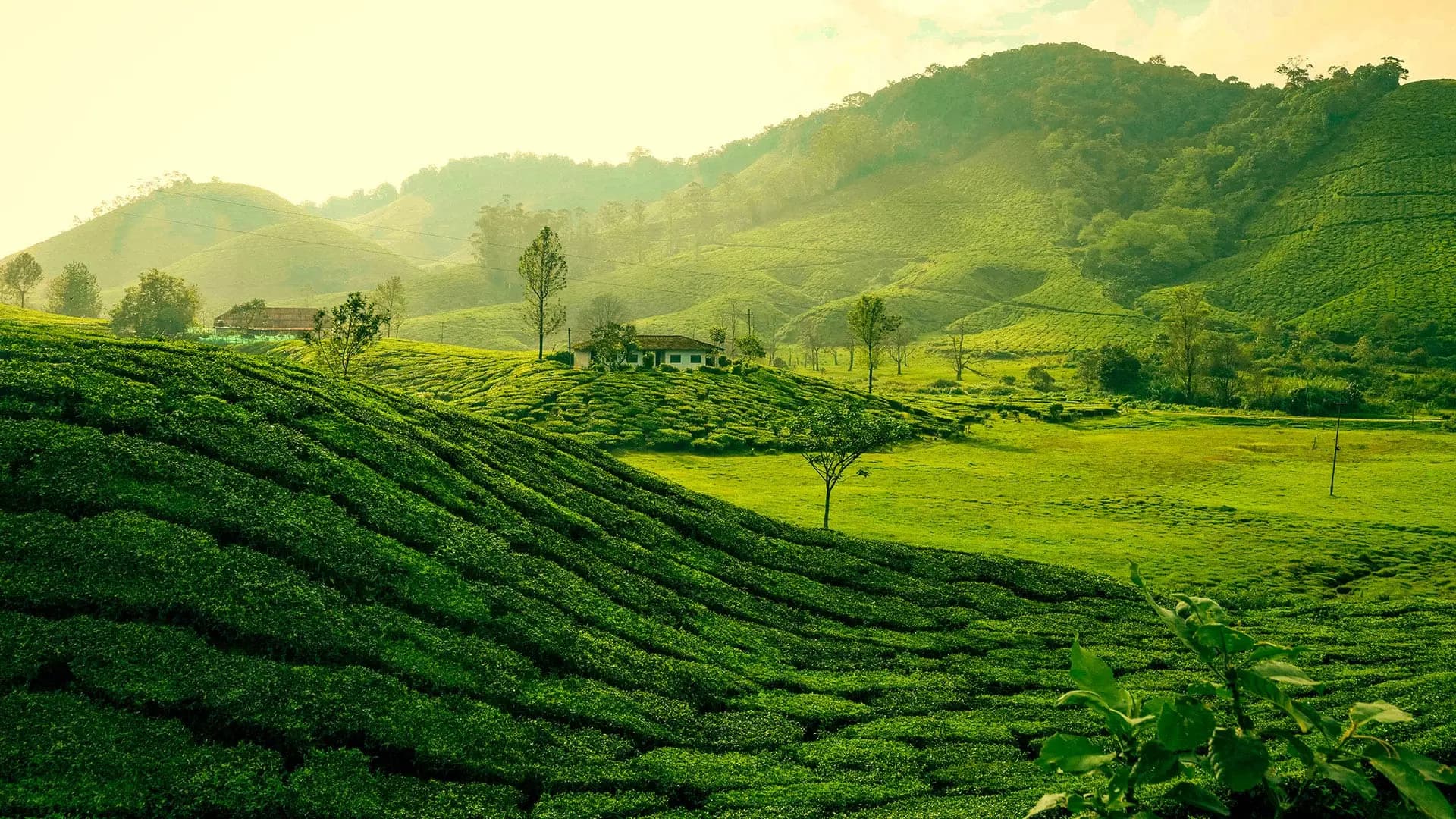 Munnar — Gods Own Country Unveiled
