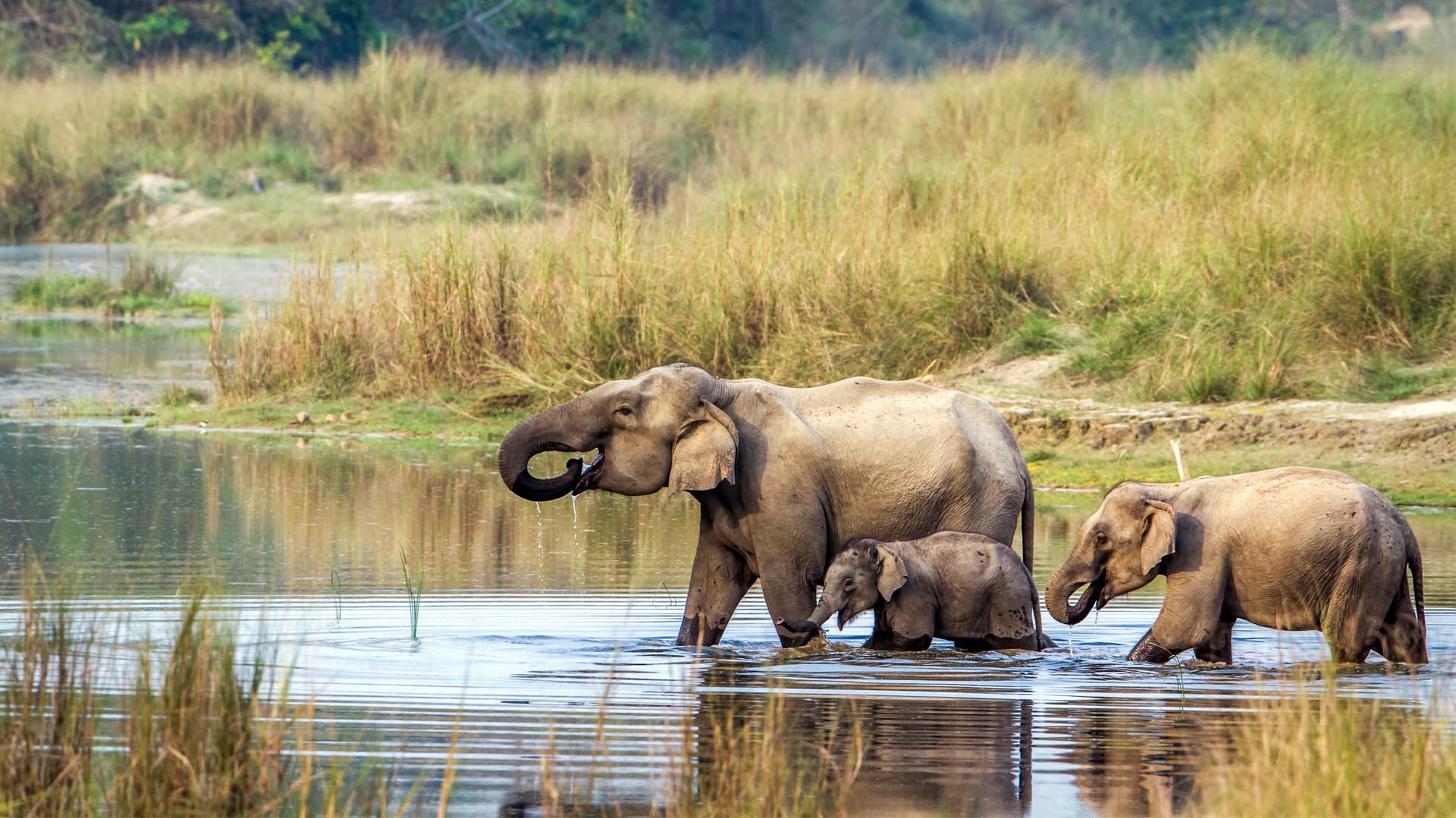 Chitwan — Nepal — From Everest to Lumbini