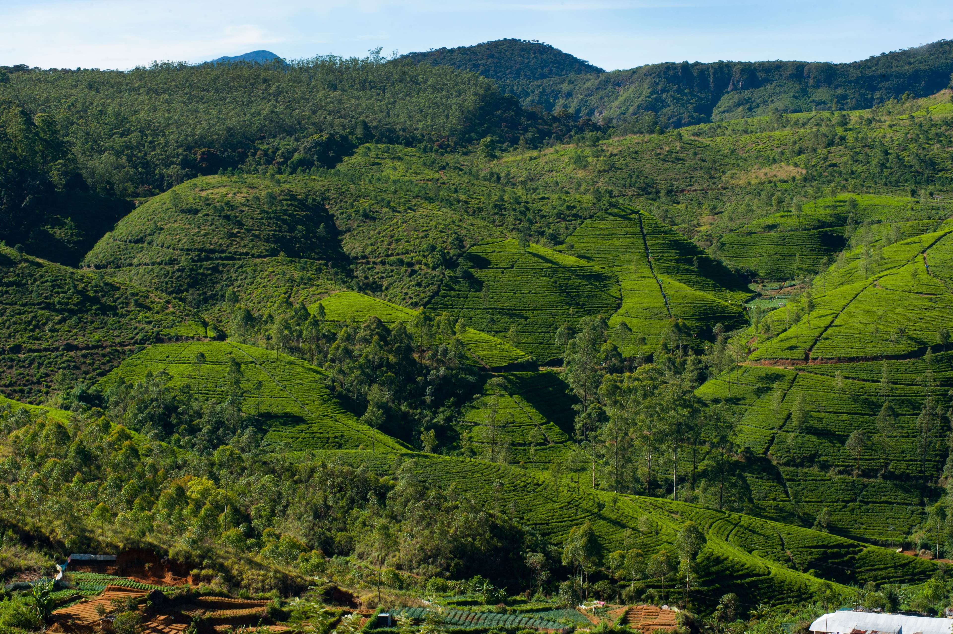 Hatton — Pearl of the Indian Ocean