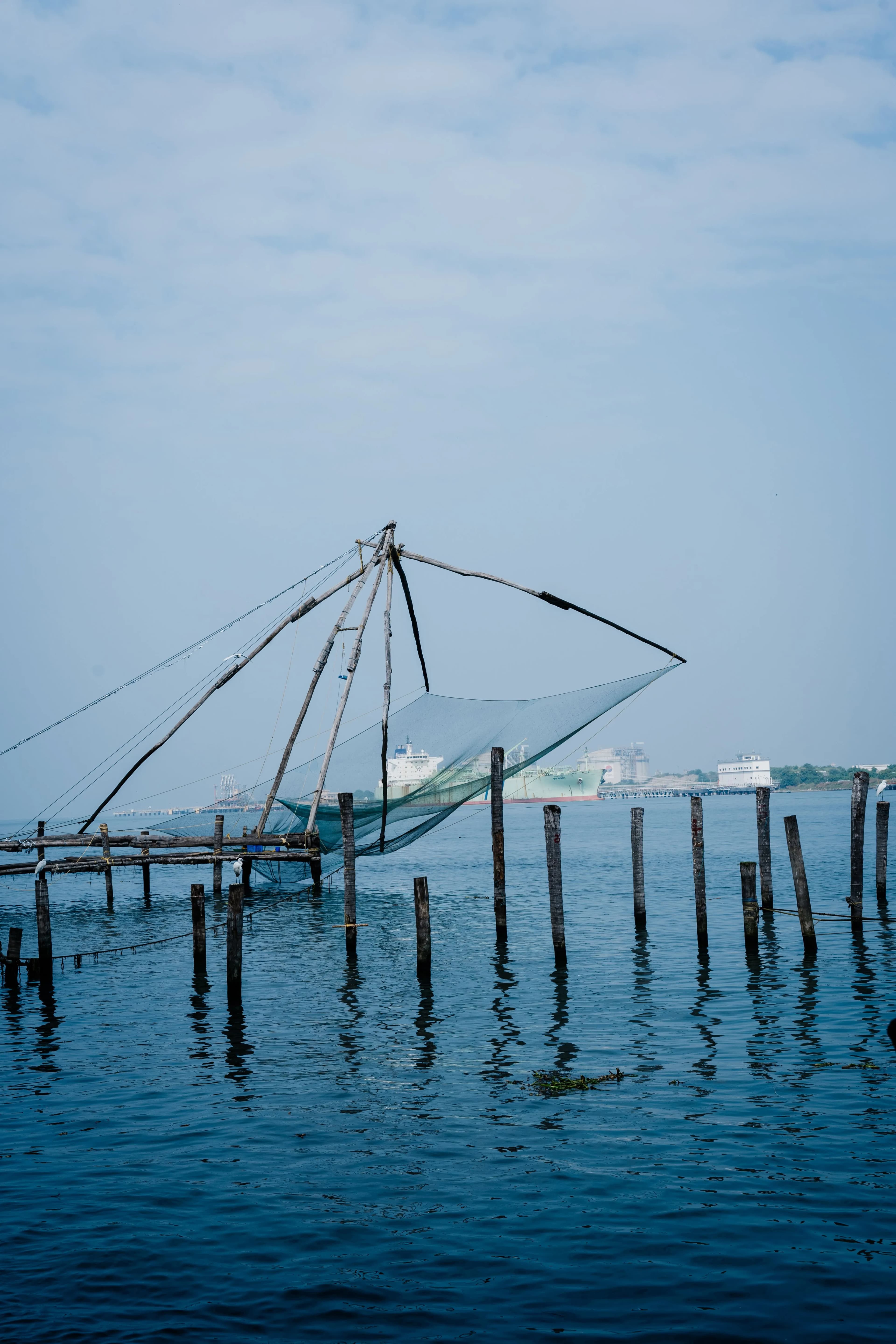 Cochin — Rejuvenate & Restore
